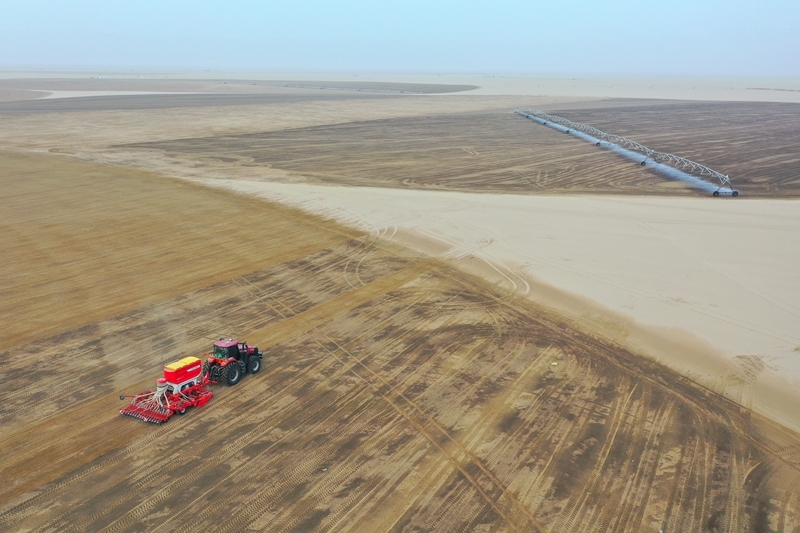 沙漠牧草 治沙护绿添新景澳门新葡京入口新疆和田：(图3)