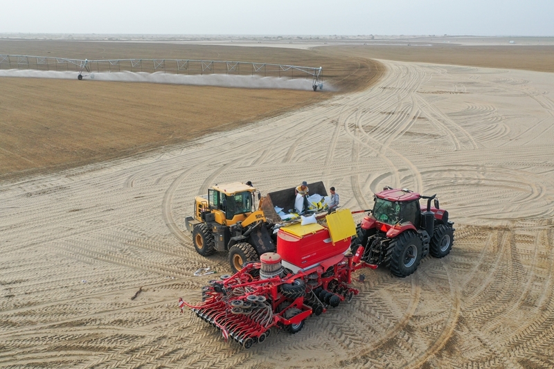 沙漠牧草 治沙护绿添新景澳门新葡京入口新疆和田：(图6)